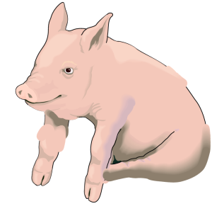Badanie ankietowe pogłowia świń oraz produkcji żywca wieprzowego